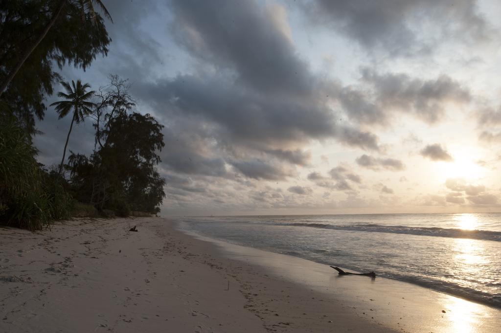 Diani House Hotel Diani Beach Kültér fotó