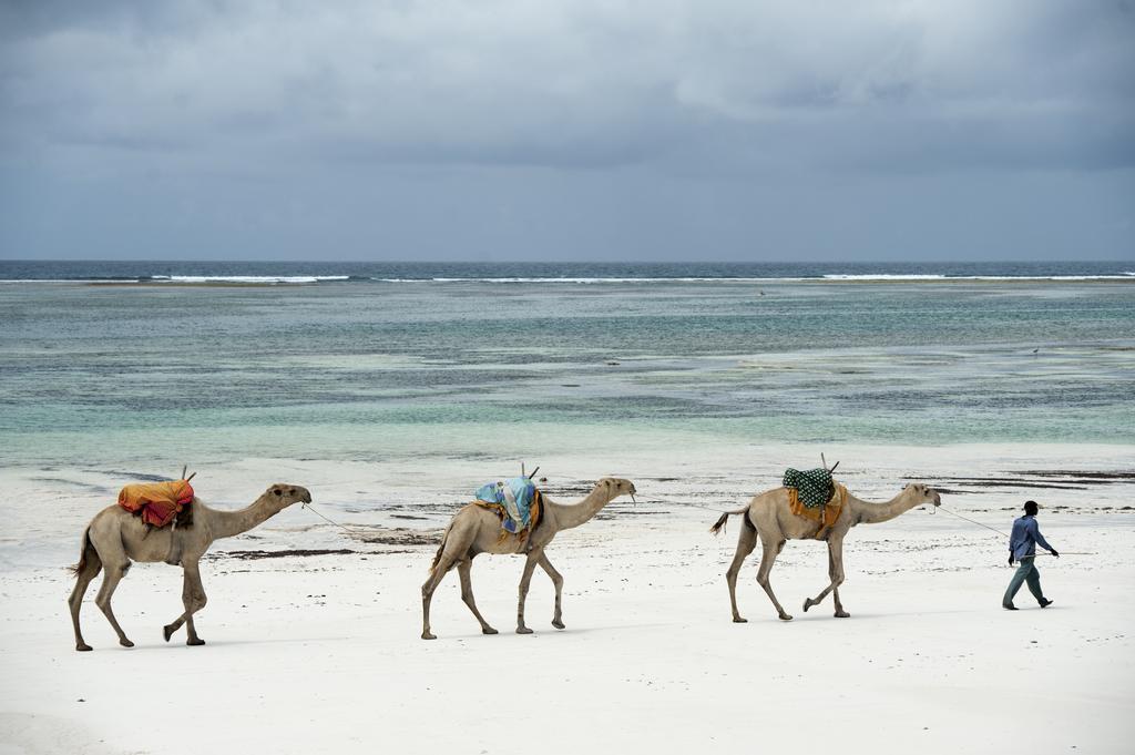 Diani House Hotel Diani Beach Kültér fotó
