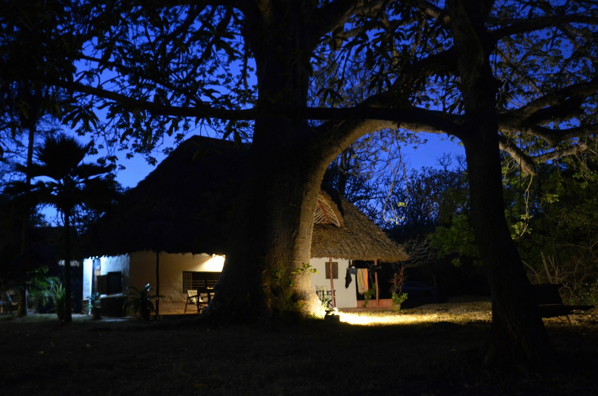 Diani House Hotel Diani Beach Kültér fotó